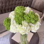 #6 - Hortensia 10 un.