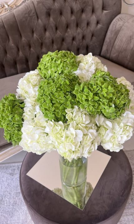 #6 - Hortensia 10 un.