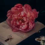 Flower Certificate