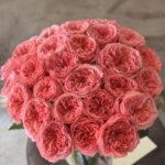 #20 - Peony roses 30 un.